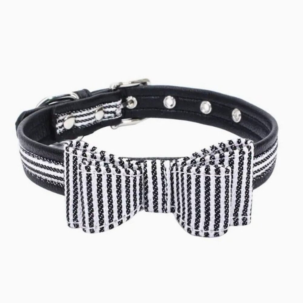 Zach Saylor Black Oxford Stripe Bow Tie Dog Collar Medium Gift Packaged